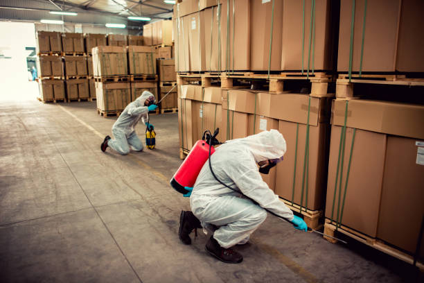 Best Best Pest Control Companies  in Thermalito, CA