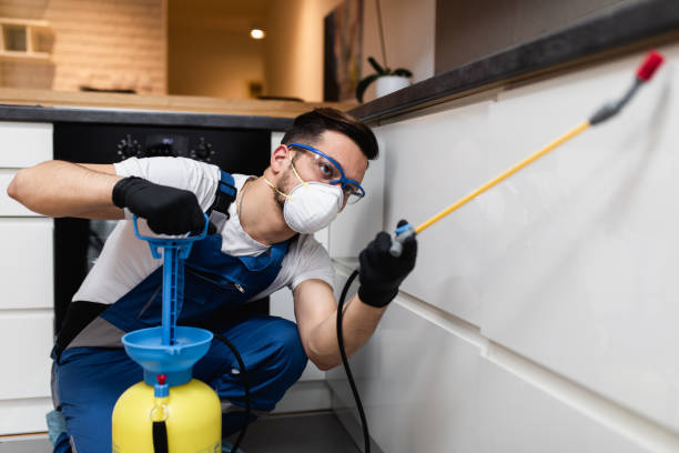 Best Wasp Removal Services  in Thermalito, CA