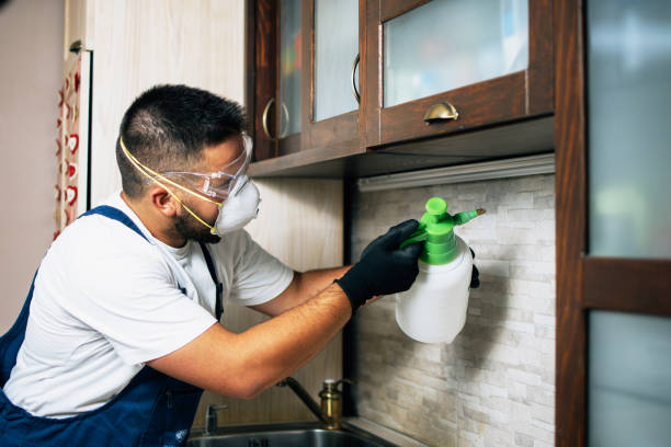 Best Affordable Pest Control Services  in Thermalito, CA