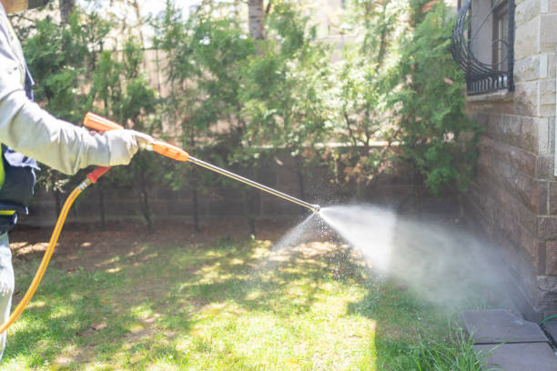 Best Best Pest Control Companies  in Thermalito, CA