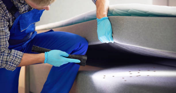 Pest Control for Restaurants in Thermalito, CA