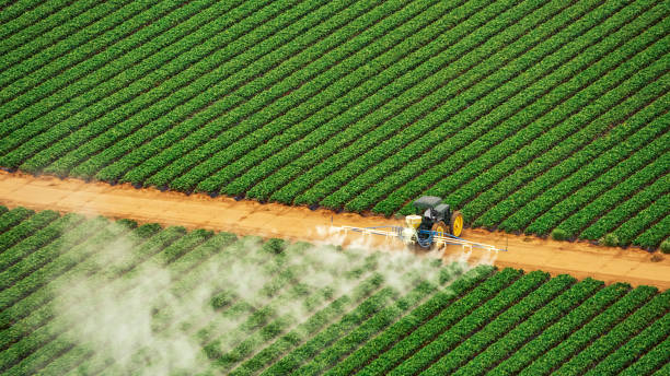 Best Pest Inspection Near Me  in Thermalito, CA