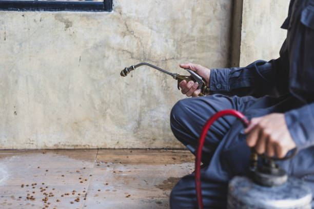 Best Pest Removal Services  in Thermalito, CA